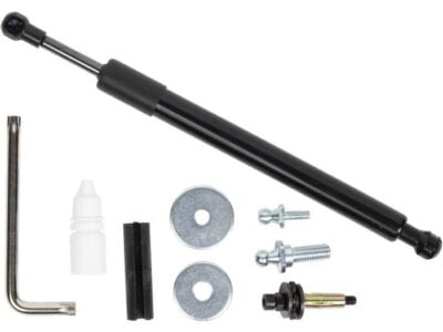 AMORTIGUADOR ASISTENCIA PORTALON RAM 1500/2500 02-09 STRONGARM