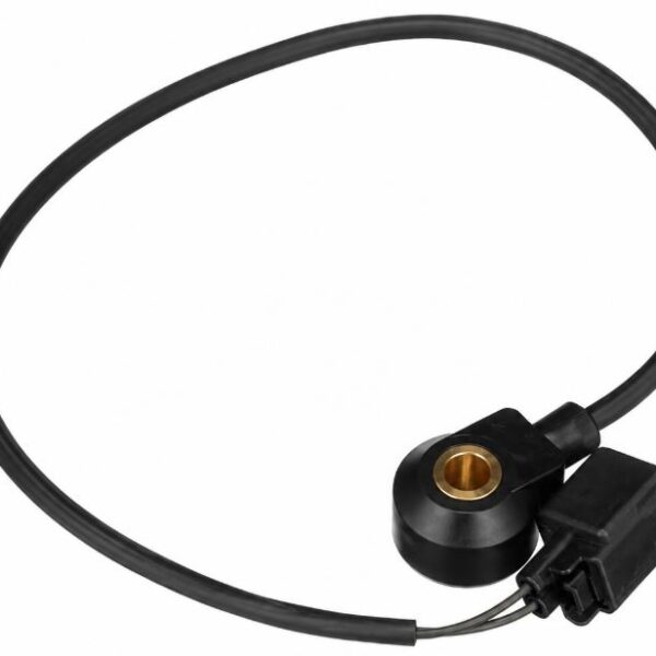 SENSOR KNOCK ESCAPE/EXPEDITION/F150/MUSTANG 04-14 OEM